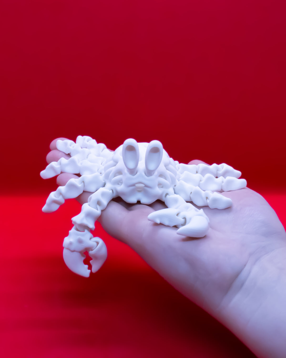 Szkielet Krab