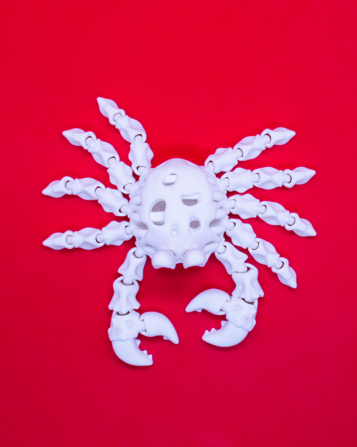 Szkielet Krab